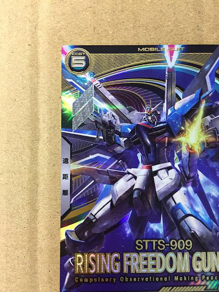 RISING FREEDOM GUNDAM UT01-024 Arsenal Base Card Seed
