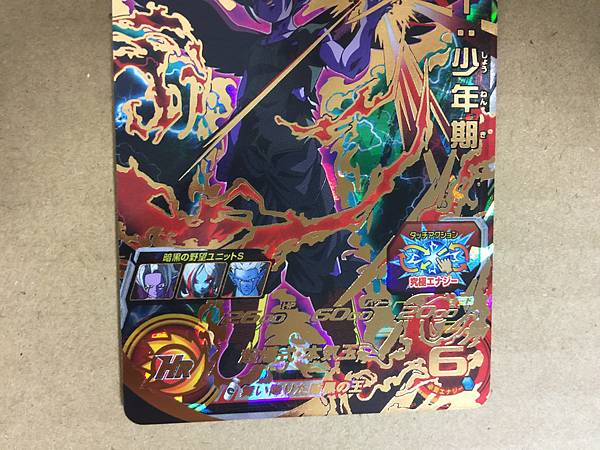 Fu BM11-069 UR Super Dragon Ball Heroes Mint Card SDBH