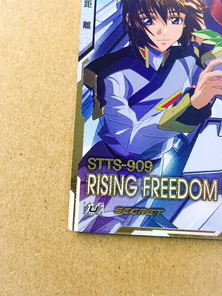 RISING FREEDOM GUNDAM UT01-024 Secret Arsenal Base Card Seed
