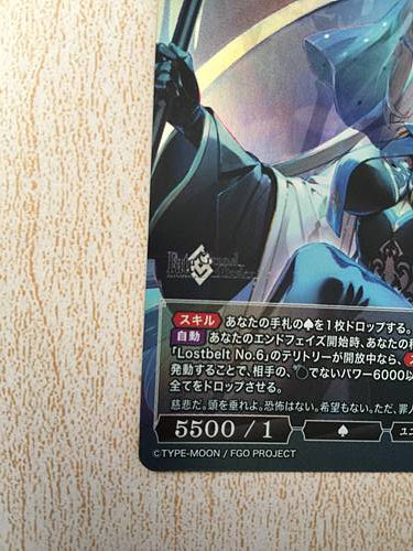 Morgan Berserker BB-FGO-013SR+ Tarjeta de construcción Divide FGO Fate Grand Order