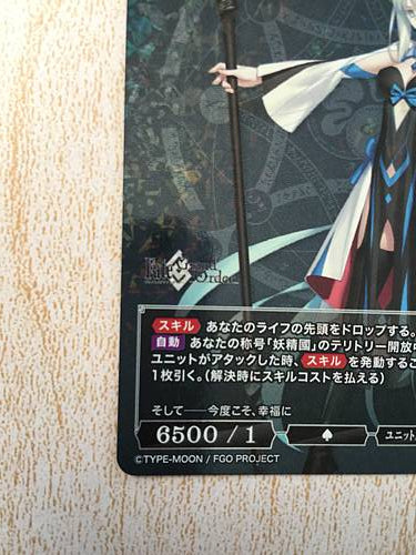 Morgan Berserker BB-FGO-012SR Build Divide Card FGO Fate Grand Order