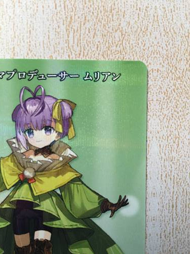 BB-FGO-005R Tarjeta de construcción dividida FGO Fate Grand Order