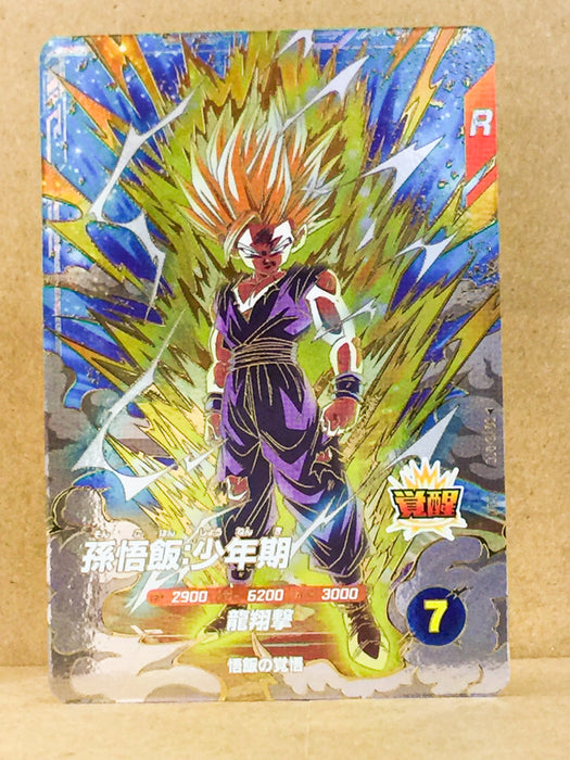 Gohan SDV5-076  GDR Dragon Ball Super Divers Card