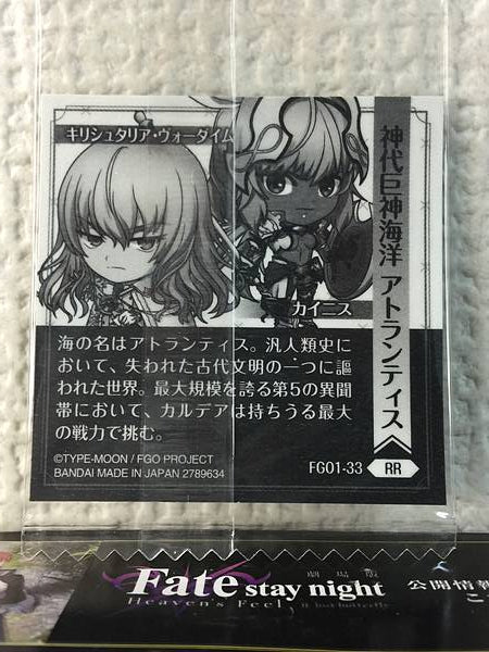 Kirschtaria Wodime Caenis FGO1-33 RR Fate Grand Order Niformation Seal