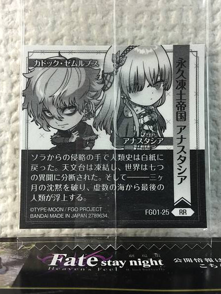 Anastasia Caster FGO1-25 RR Fate Grand Order Niformation Seal