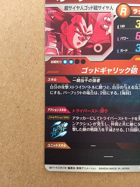 Vegeta SDV1-010 GDR Dragon Ball Super Divers Holo Card