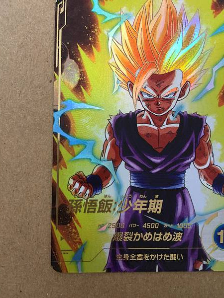 Son Gohan SDV1-005 Parallel GDR Dragon Ball Super Divers Card