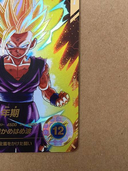Son Gohan SDV1-005 Parallel GDR Dragon Ball Super Divers Card