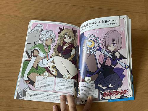Fate/Grand Order Chaldea Ace Vol.2 Book FGO Karuta