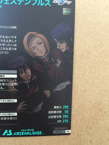 Semilla de tarjeta base HEINE WESTENFLUSS PR-263 Gundam Arsenal