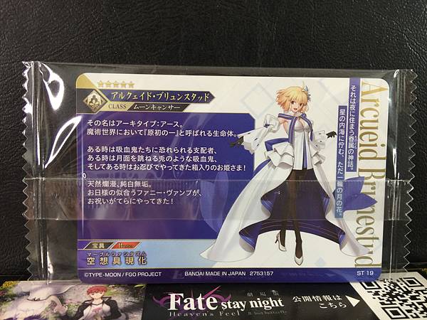 Arcueid Brunestud Moon Cancer Fate Grand Order Twin Wafer Card 2025 FGO ST 19