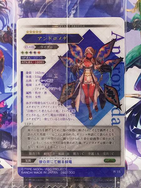 Andromeda Rider Fate Grand Order FGO Wafer Card vol.14 R15