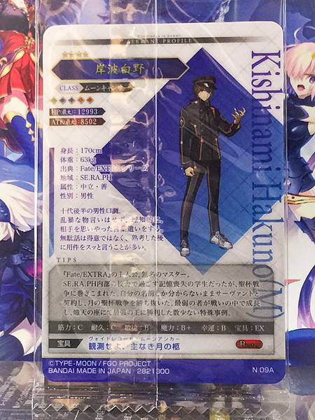Kishinami Haruno Moon Cancer Fate Grand Order FGO Wafer Card vol.14  N09A