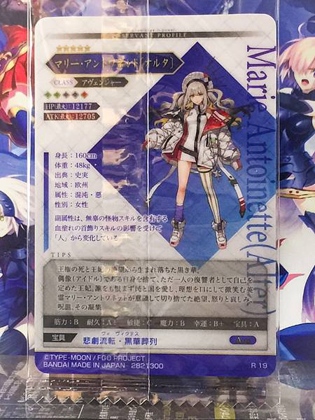 Marie Antoinette Alter Avenger Fate Grand Order FGO Wafer Card vol.14 R19
