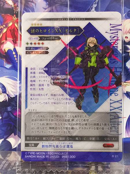 Mysterious Heroine XX Alter Foreigner Fate Grand Order FGO Wafer Card vol.14 R21