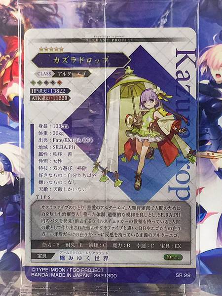 Kazuradrop Alterego Grand Order FGO Wafer Card vol.14 SR 29