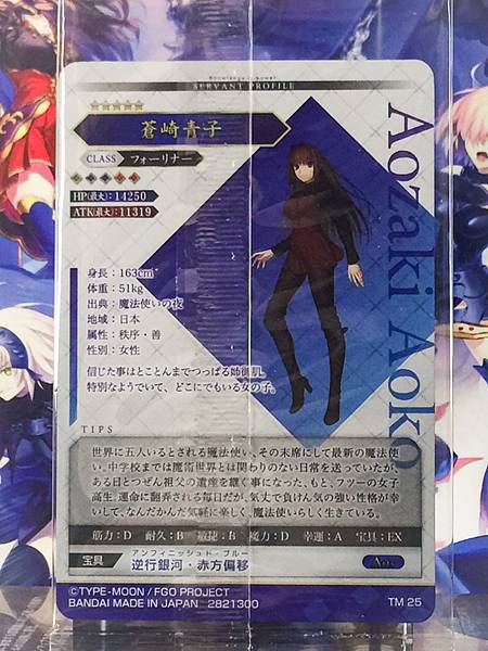 Aozaki Aoko Foreigner Fate Grand Order FGO Wafer Card vol.14 TM 25