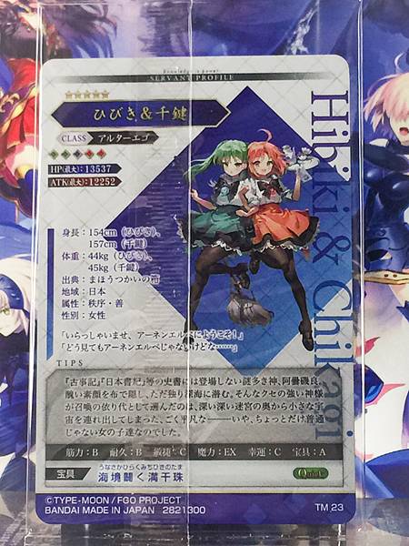 Hibiki Chikagi Alterego  Fate Grand Order FGO Wafer Card vol.14 TM 23