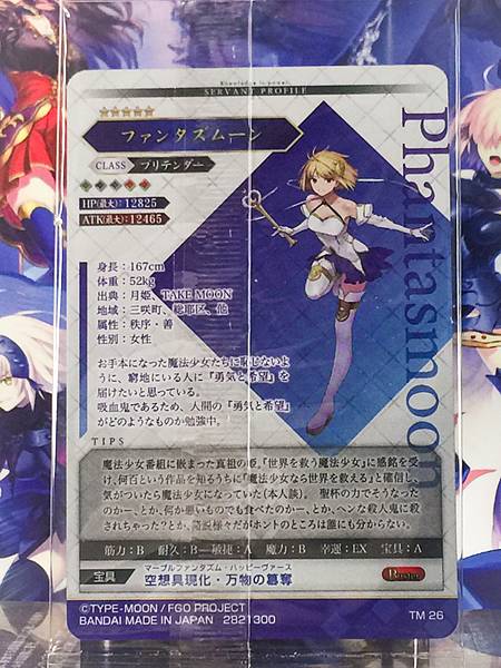 Phantasmoon Pretender Fate Grand Order FGO Wafer Card vol.14 TM 26
