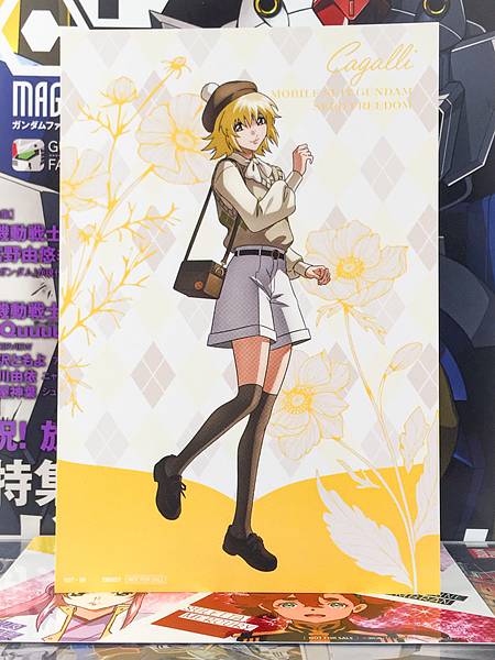 Cagalli Yula Athha Gundam SEED FREEDOM preppy style in Animate Postcard