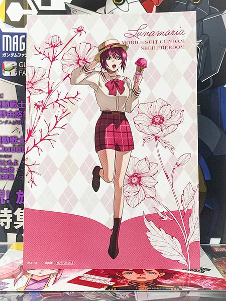 Lunamaria Hawke Gundam SEED FREEDOM preppy style in Animate Postcard