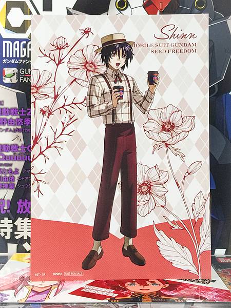 Shinn Asuka Gundam SEED FREEDOM preppy style in Animate Postcard