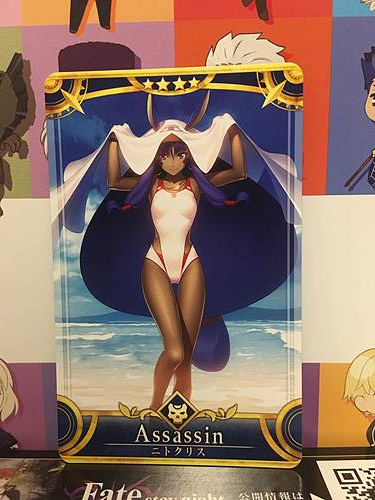 Nitocris Stage 2 Assassin Star 4 FGO Fate Grand Order Arcade Mint Card