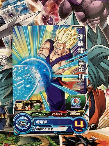 Son Gohan UGM2-003 C Super Dragon Ball Heroes Mint Card SDBH