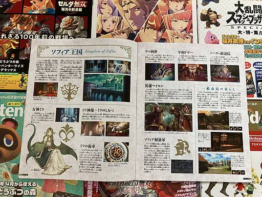 Fire Emblem Echoes The Travel in Valentia Guide Book Alm Celica