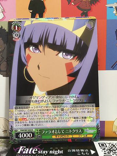 Nitocris Assassin FGO S87-031 R Weiss Schwarz Fate Grand Order Mint Card