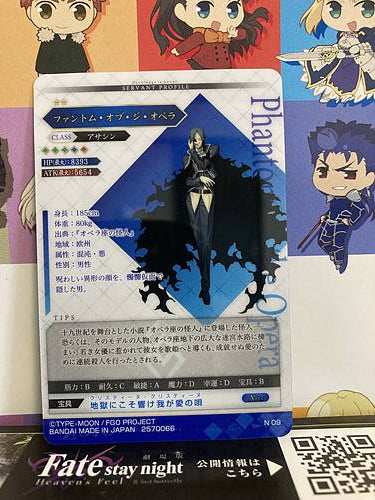 Phantom of the Opera Assassin Fate Grand Order FGO Wafer Card Vol.10 N09