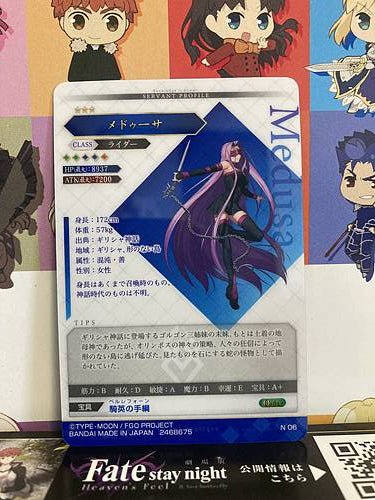 Medusa Rider Fate Grand Order FGO Wafer Card Vol.6 N06