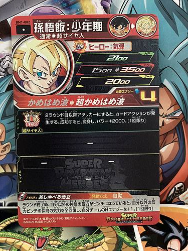 Son Gohan BM1-002 C Super Dragon Ball Heroes Mint Card SDBH