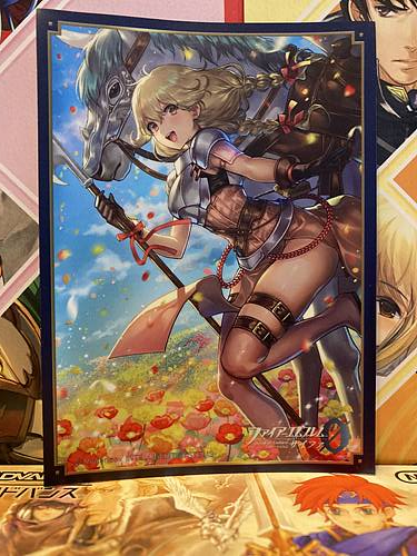 Faye Fire Emblem 0 Cipher Movic Sleeve Collection No.FE51 Echoes