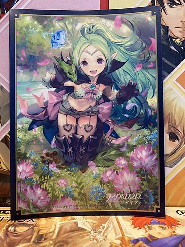 Nowi Fire Emblem 0 Cipher Movic Sleeve Collection No.FE65 Awakening